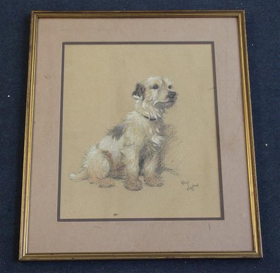 Cecil Charles Windsor Aldin (1870-1935) Portrait of a terrier 14 x 12in.